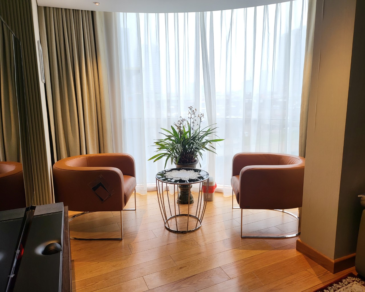 Ghế da Armchair Giada góc 1