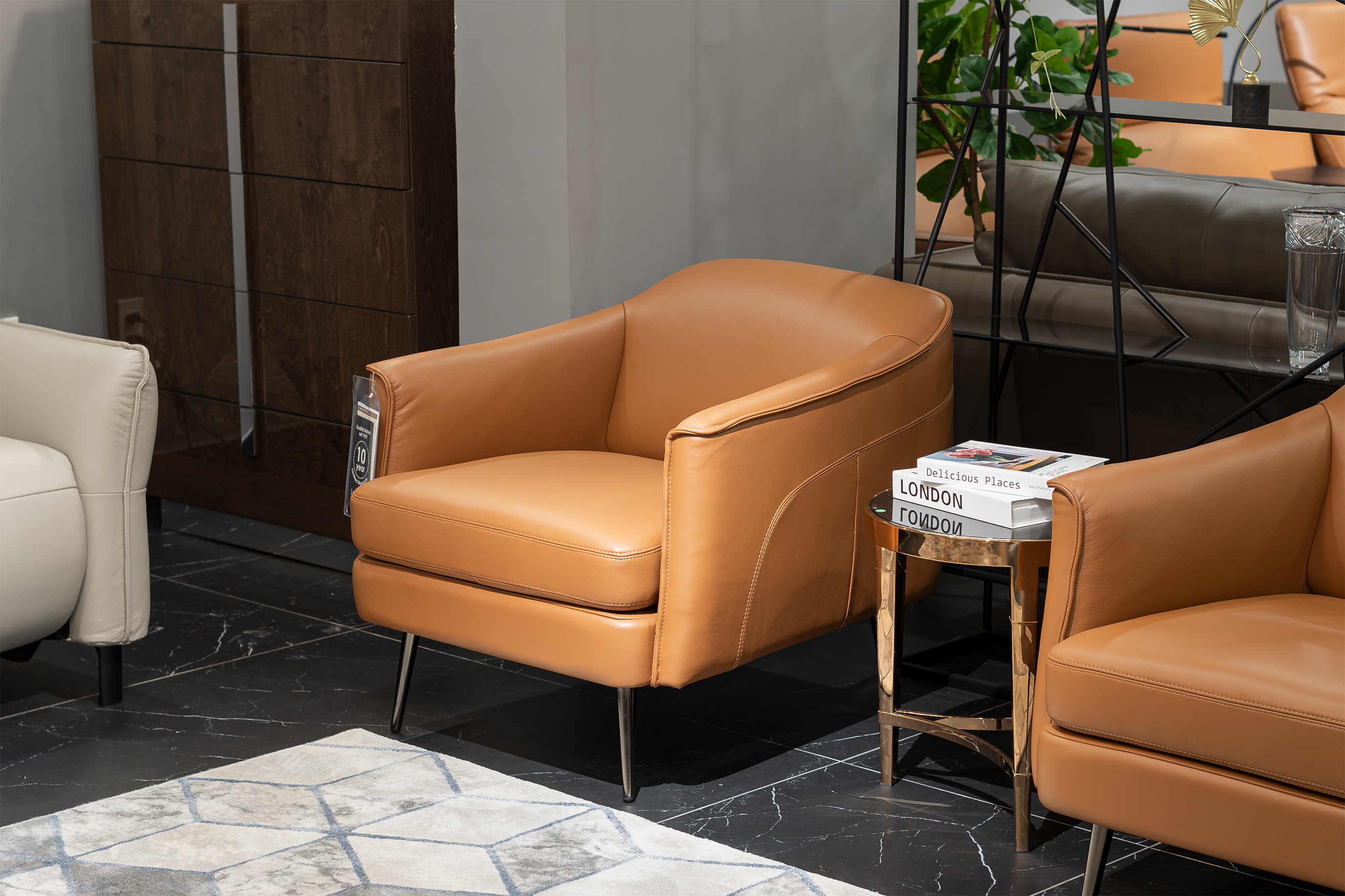 Ghế armchair Malaysia T1125 góc 3
