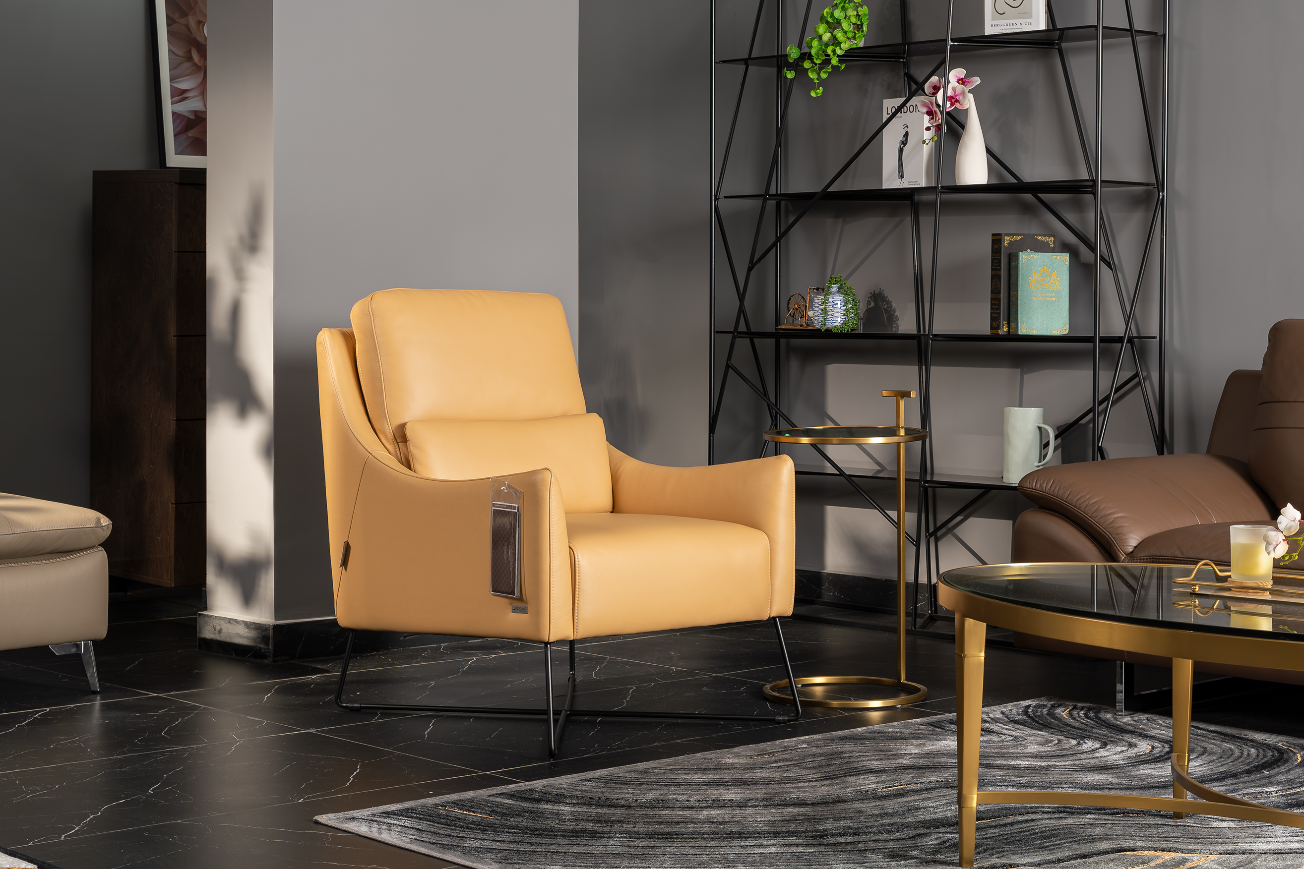 Ghế armchair Malaysia T1222 góc 1