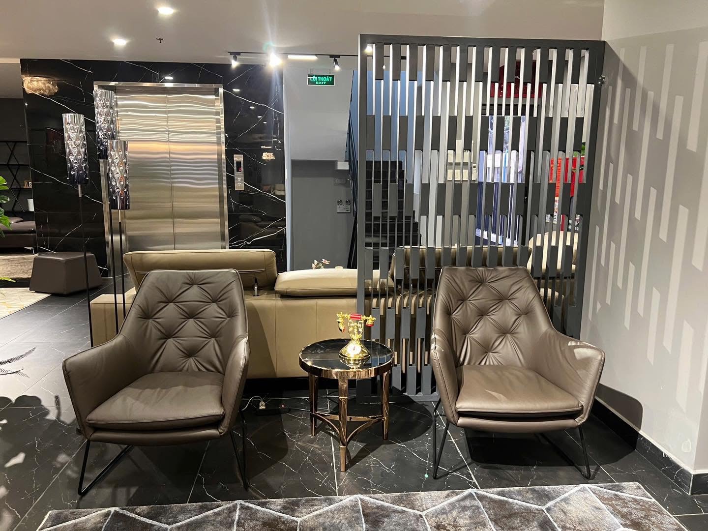 Ghế armchair Malaysia T1121 góc 4
