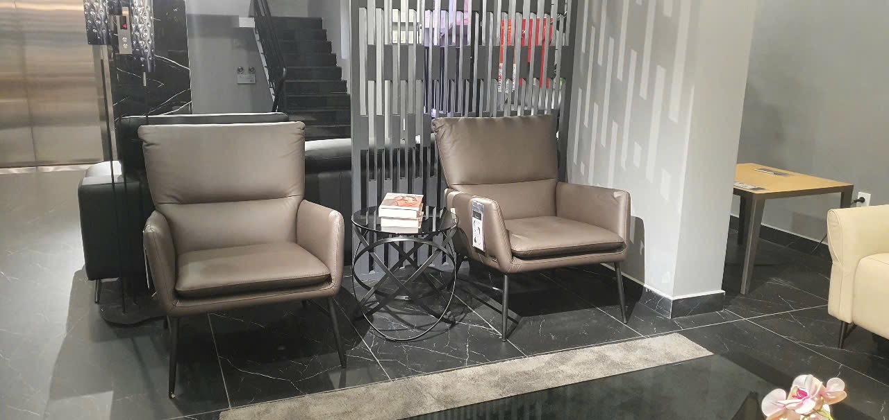 Ghế armchair Malaysia T1031 góc 2